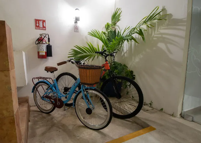Segovia 4* Playa del Carmen